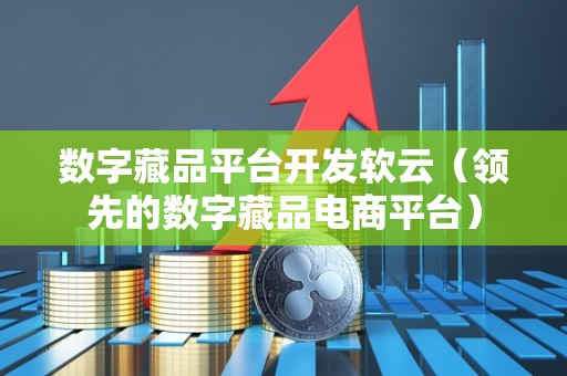 数字藏品平台开发软云（领先的数字藏品电商平台）