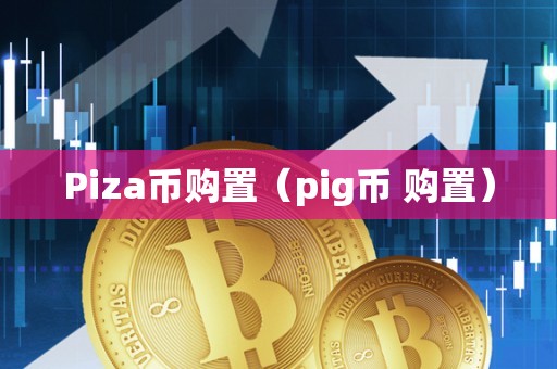 Piza币购置（pig币 购置）