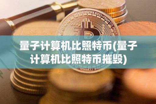 量子计算机比照特币(量子计算机比照特币摧毁)