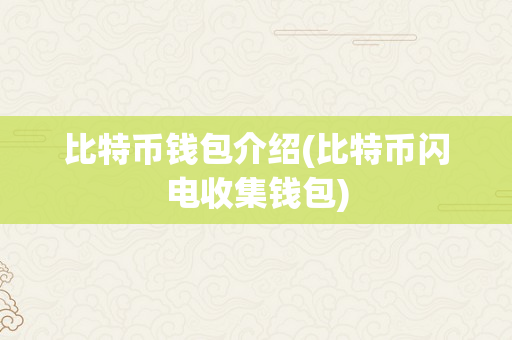 比特币钱包介绍(比特币闪电收集钱包)