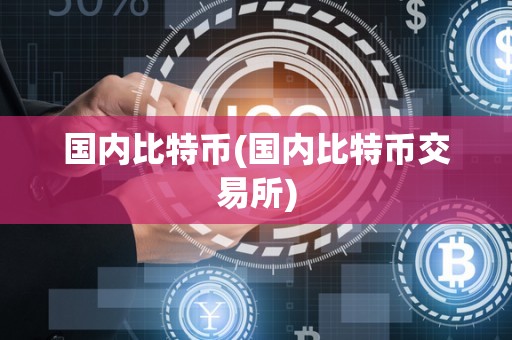 国内比特币(国内比特币交易所)