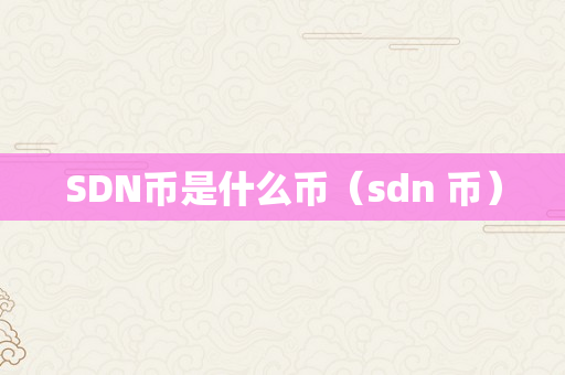 SDN币是什么币（sdn 币）