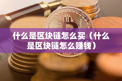 什么是区块链怎么买（什么是区块链怎么赚钱）