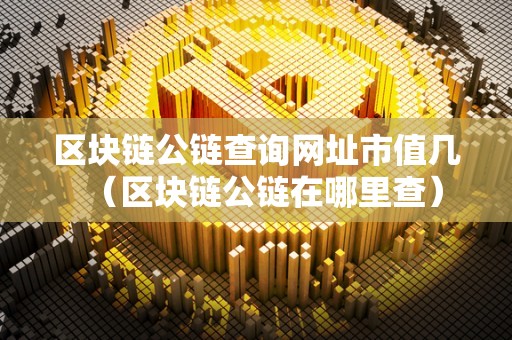 区块链公链查询网址市值几（区块链公链在哪里查）