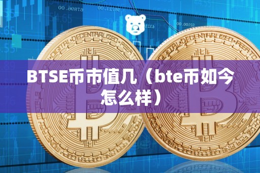 BTSE币市值几（bte币如今怎么样）