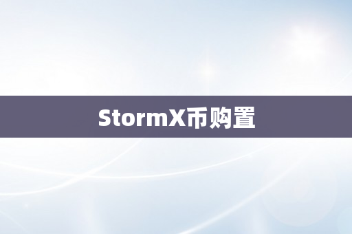 StormX币购置