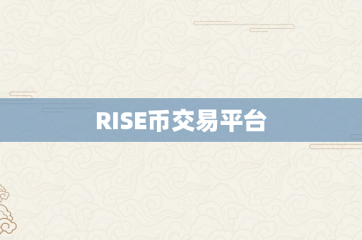 RISE币交易平台