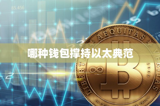 哪种钱包撑持以太典范