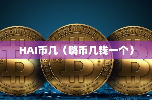 HAI币几（嗨币几钱一个）