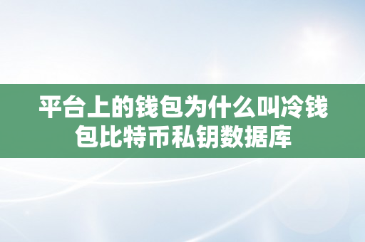 平台上的钱包为什么叫冷钱包比特币私钥数据库