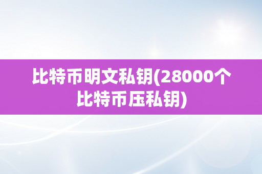 比特币明文私钥(28000个比特币压私钥)