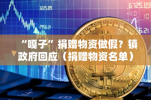 “嘎子”捐赠物资做假？镇政府回应（捐赠物资名单）