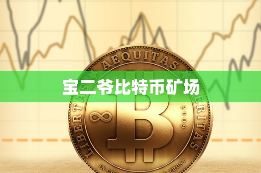 宝二爷比特币矿场
