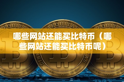 哪些网站还能买比特币（哪些网站还能买比特币呢）