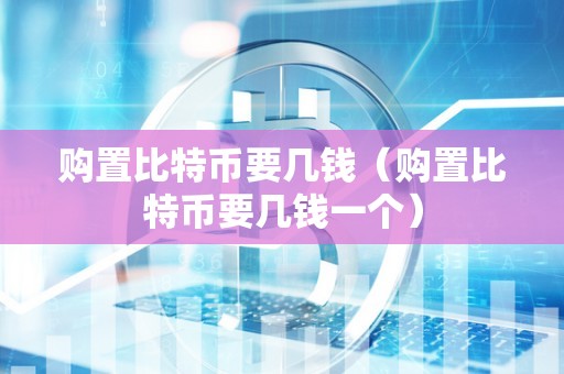 购置比特币要几钱（购置比特币要几钱一个）