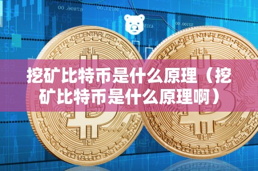 挖矿比特币是什么原理（挖矿比特币是什么原理啊）