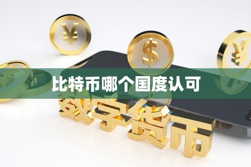 比特币哪个国度认可