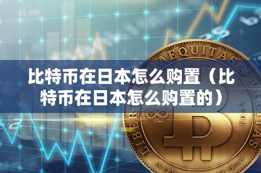 比特币在日本怎么购置（比特币在日本怎么购置的）