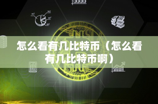 怎么看有几比特币（怎么看有几比特币啊）