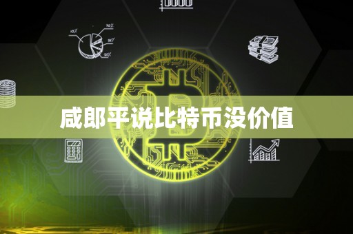 咸郎平说比特币没价值