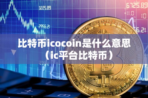 比特币icocoin是什么意思（ic平台比特币）