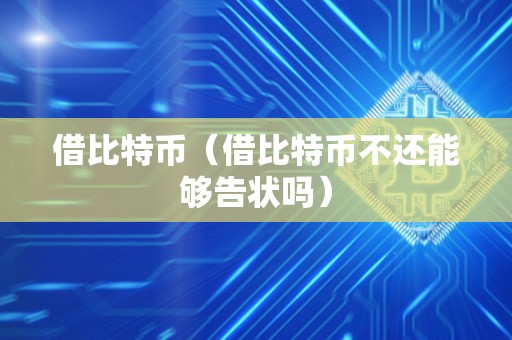 借比特币（借比特币不还能够告状吗）