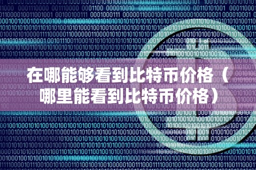 在哪能够看到比特币价格（哪里能看到比特币价格）