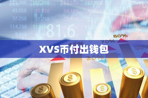 XVS币付出钱包