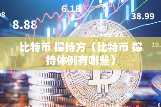 比特币 撑持方（比特币 撑持体例有哪些）