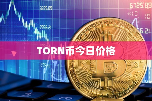 TORN币今日价格