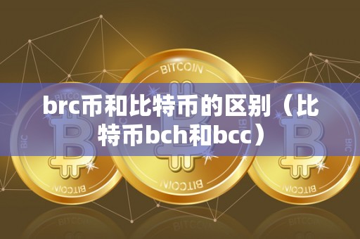 brc币和比特币的区别（比特币bch和bcc）