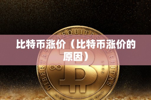 比特币涨价（比特币涨价的原因）