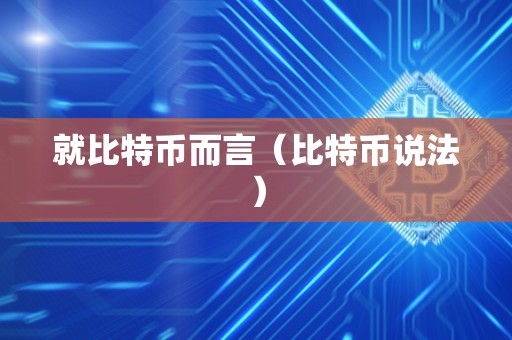 就比特币而言（比特币说法）