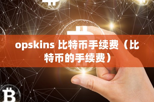 opskins 比特币手续费（比特币的手续费）