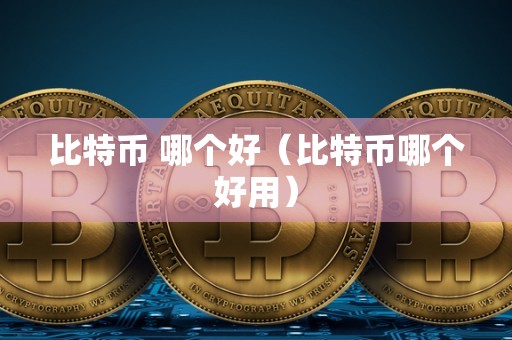 比特币 哪个好（比特币哪个好用）