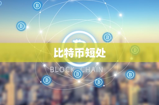 比特币短处