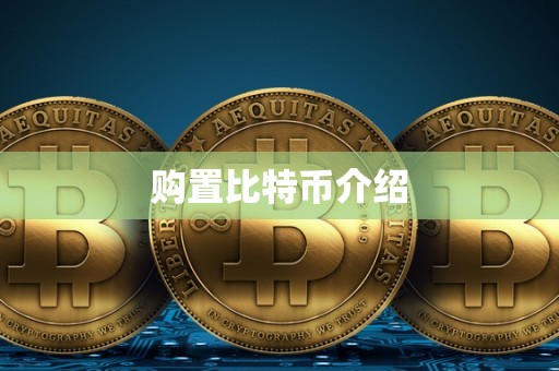 购置比特币介绍
