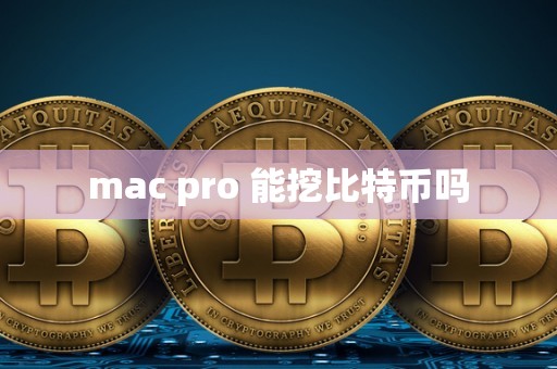 mac pro 能挖比特币吗