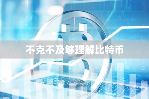 不克不及够理解比特币