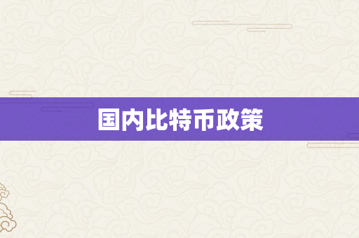 国内比特币政策