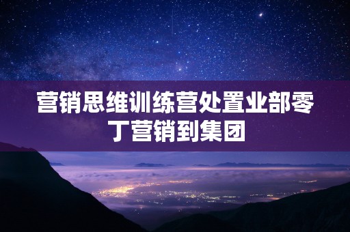 营销思维训练营处置业部零丁营销到集团