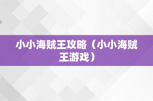 小小海贼王攻略（小小海贼王游戏）