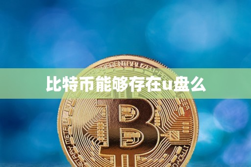 比特币能够存在u盘么