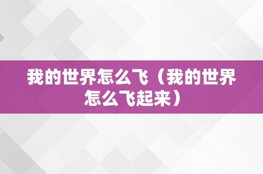 我的世界怎么飞（我的世界怎么飞起来）