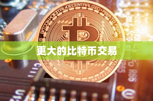 更大的比特币交易