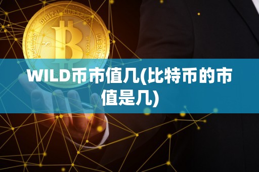 WILD币市值几(比特币的市值是几)