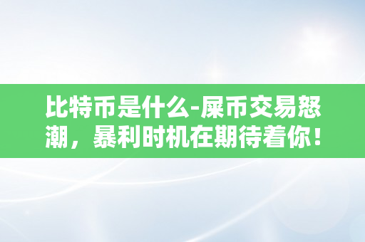 比特币是什么-屎币交易怒潮，暴利时机在期待着你！
