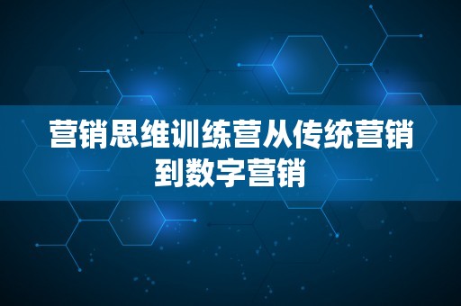 营销思维训练营从传统营销到数字营销