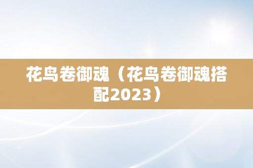 花鸟卷御魂（花鸟卷御魂搭配2023）