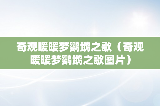 奇观暖暖梦鹦鹉之歌（奇观暖暖梦鹦鹉之歌图片）